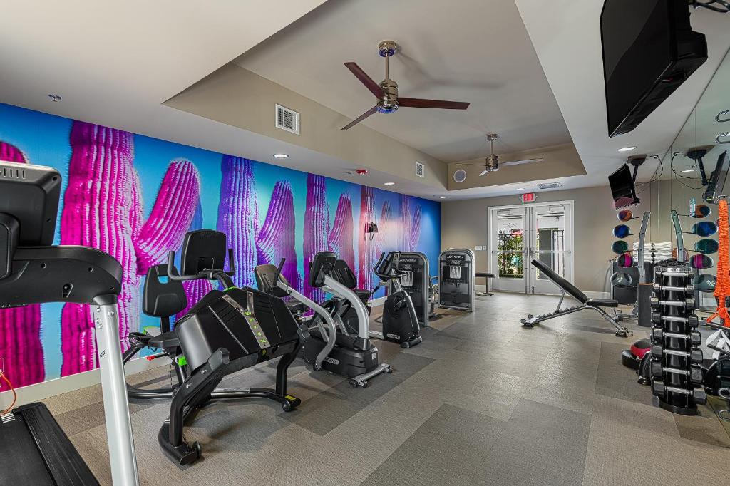 the paloma gym